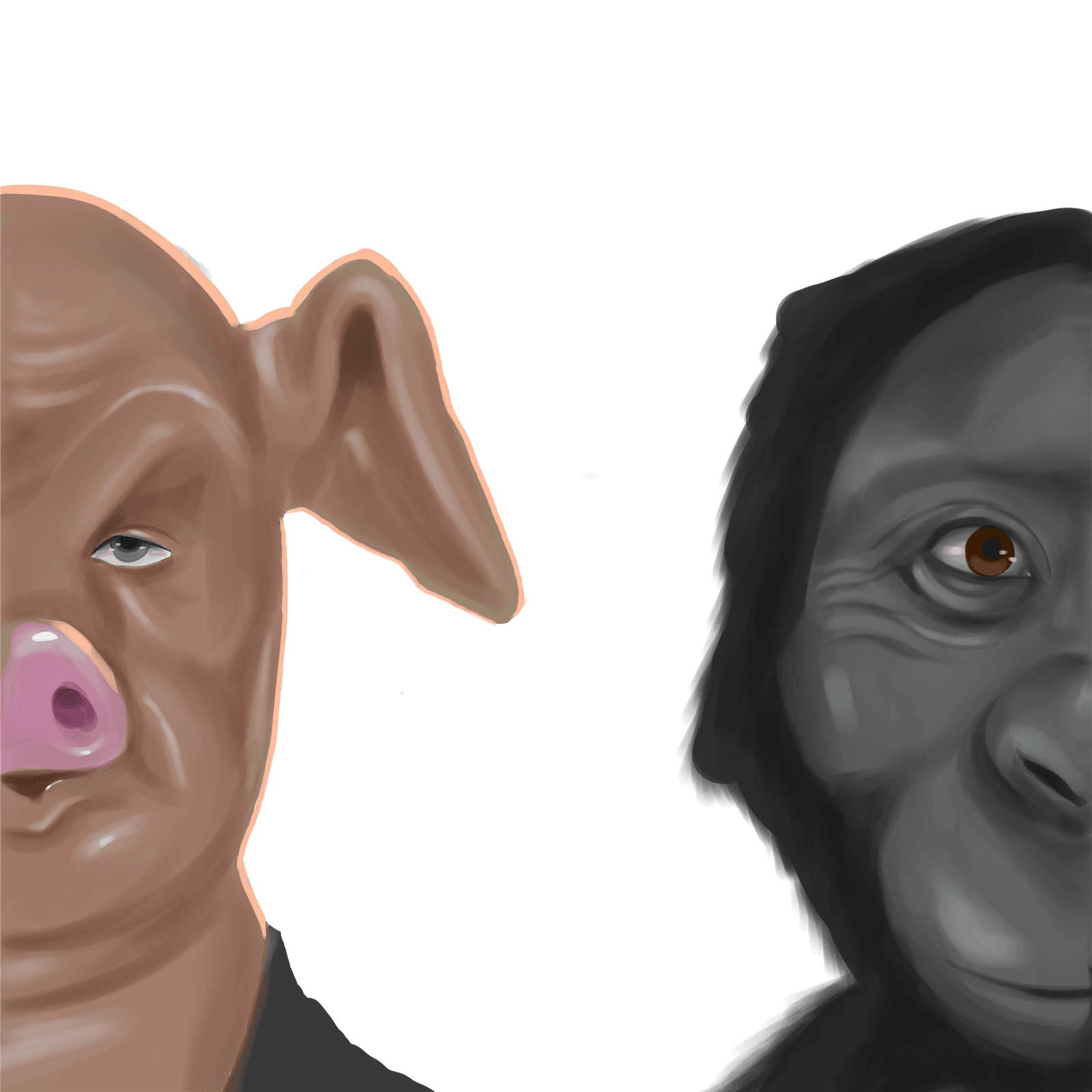 A Theatre of Apes & Pigs