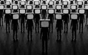 Different brain, same program…